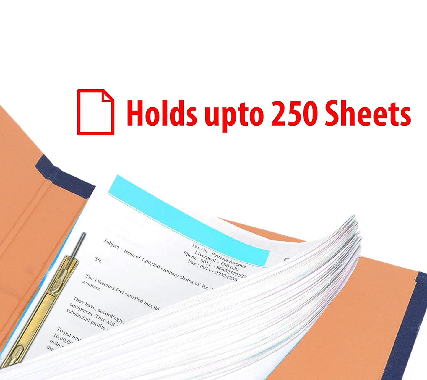 Storite 6 Pack Spring Files File A4 Size Paper Cobra File Document Holder Certificates Holder- Color May Vary (35 x 26 x 3.5 cm)
