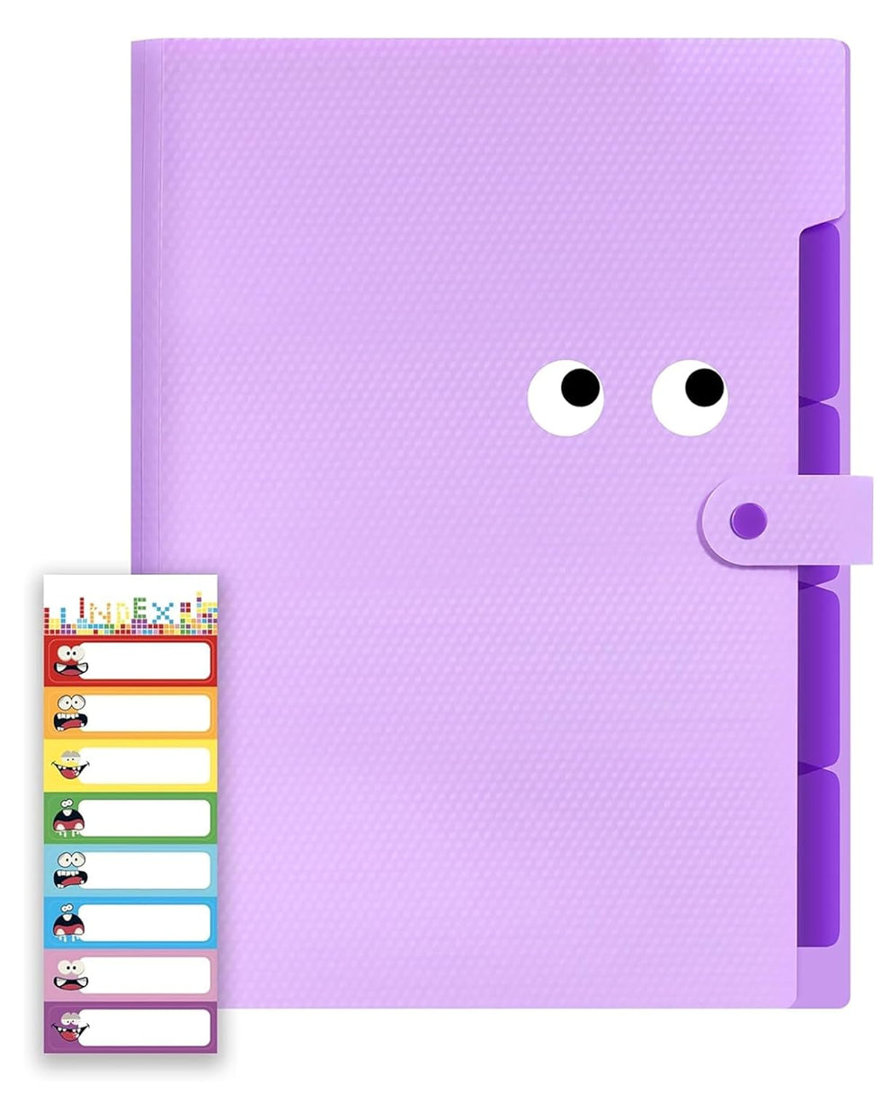 NISUN 5 Pocket Expanding File Folder with Fun Sticky Labels, Letter Si ...