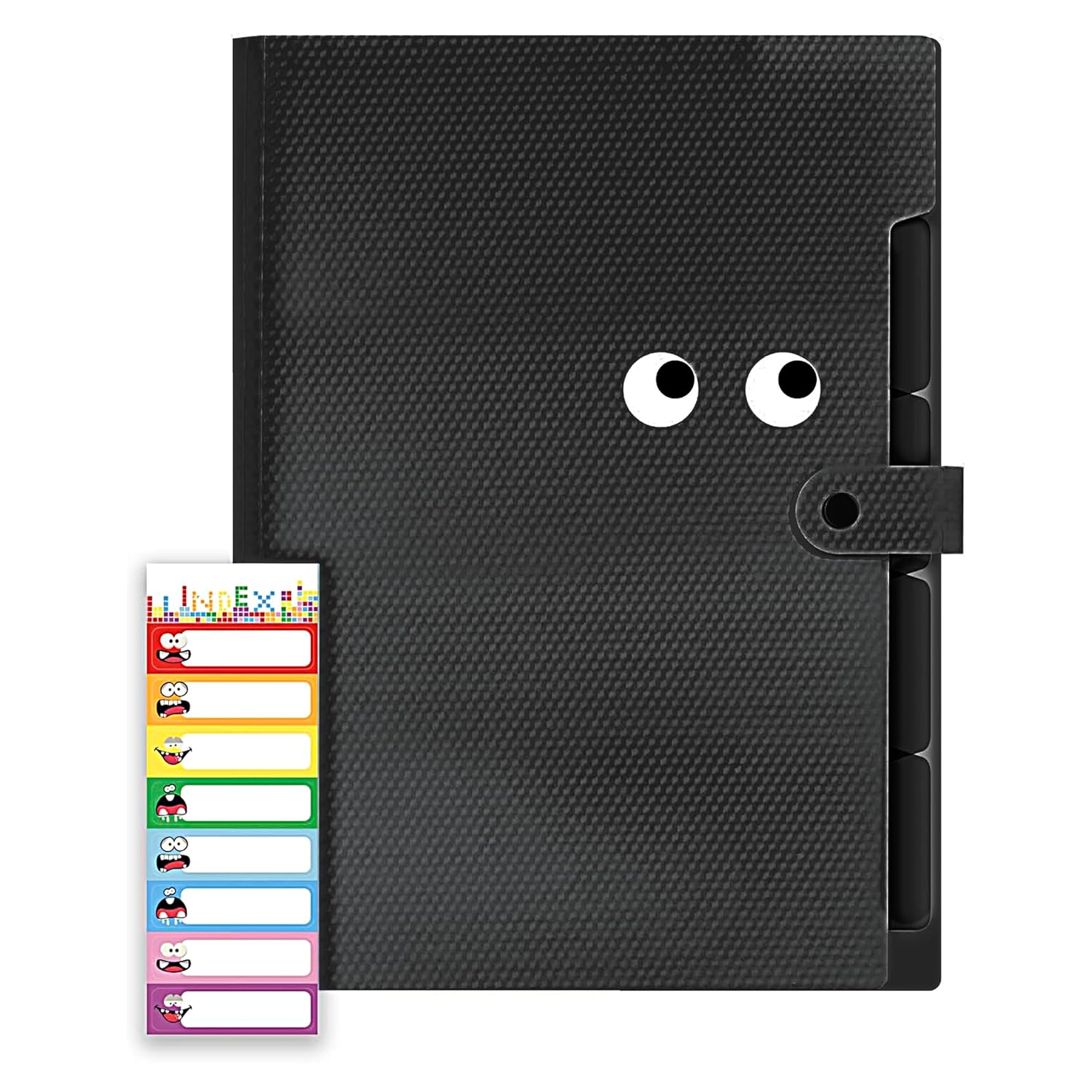 Storite 5 Pocket Expanding File Folder with Fun Sticky Labels, Letter